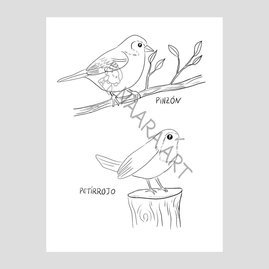💻 Lámina colorear petirrojo-pinzón