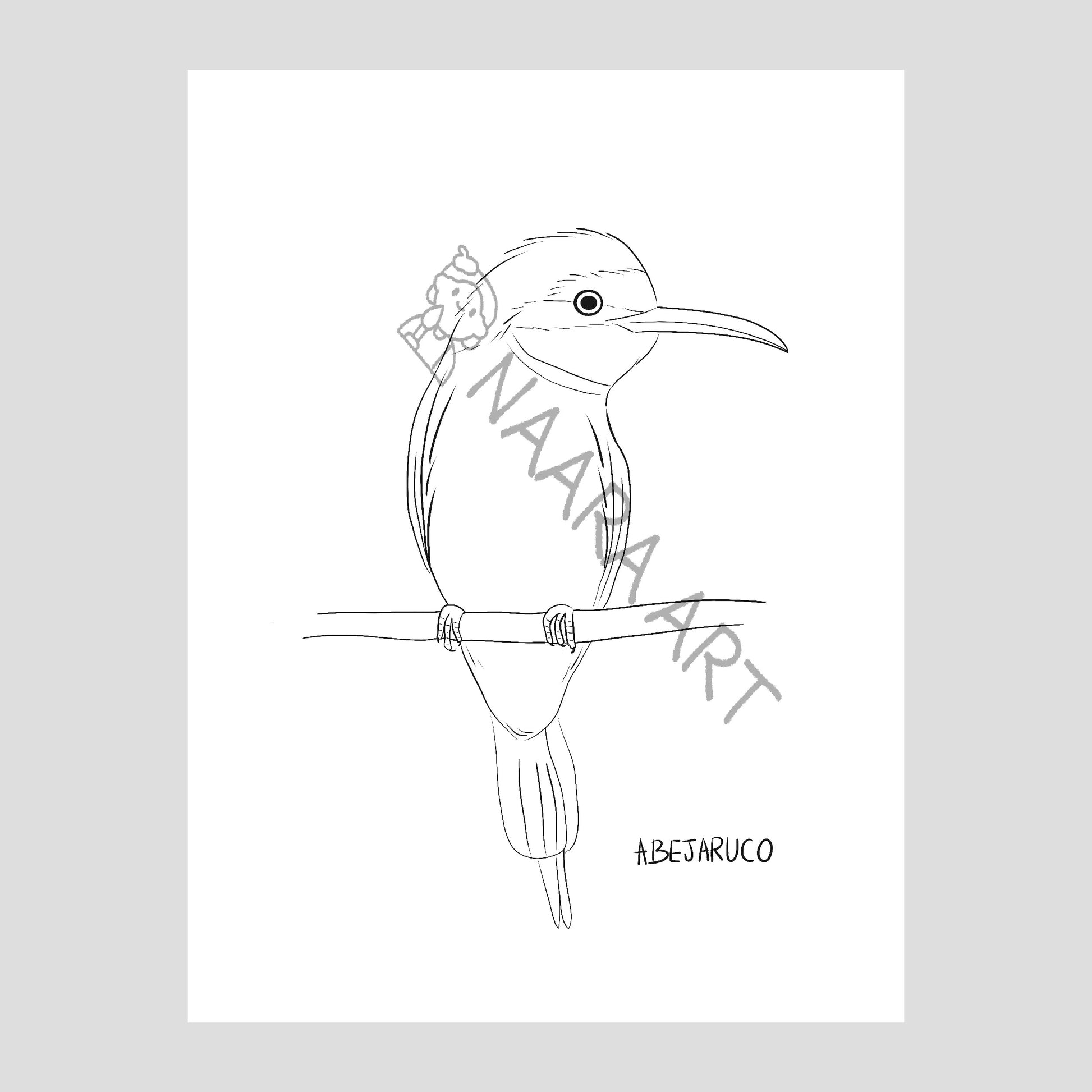 💻 Lámina colorear abejaruco