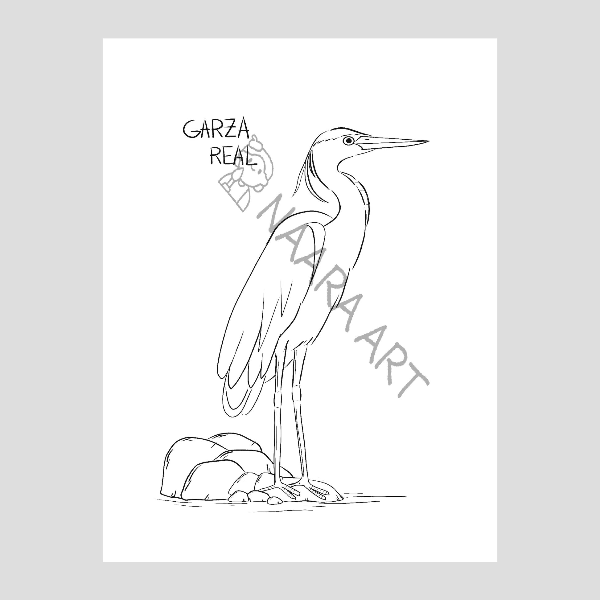 💻 Lámina colorear garza real