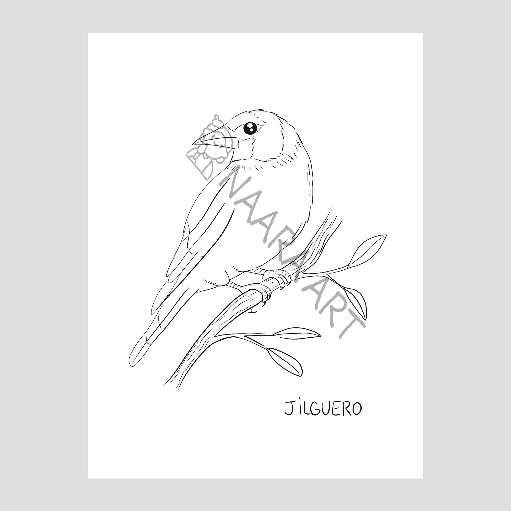 💻 Lámina colorear jilguero