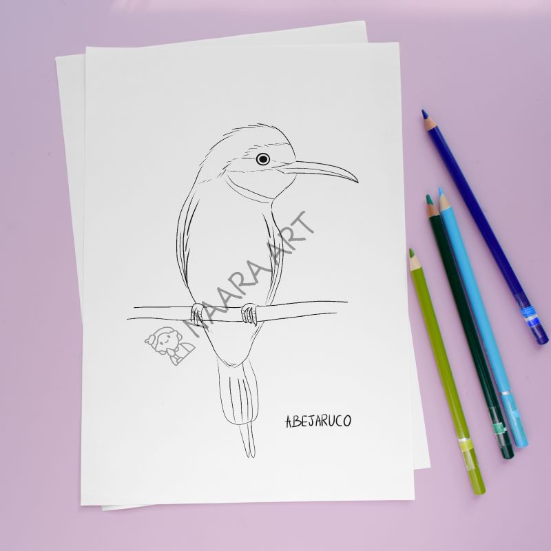 💻 Lámina colorear abejaruco