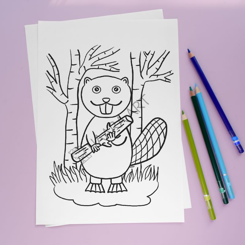 💻 Lámina colorear castor y su madera