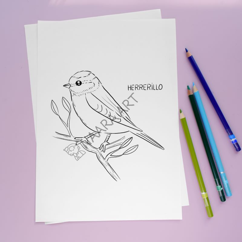 💻 Lámina colorear herrerillo