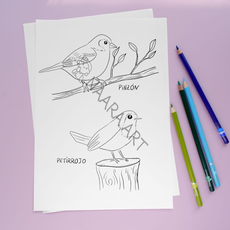 💻 Lámina colorear petirrojo-pinzón
