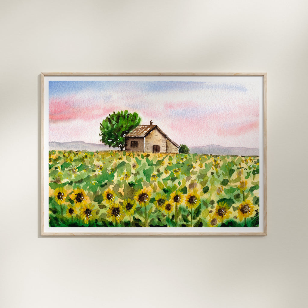Campo girasoles