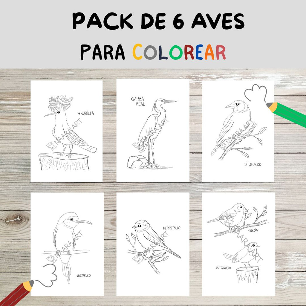 💻 Pack 6 aves para colorear