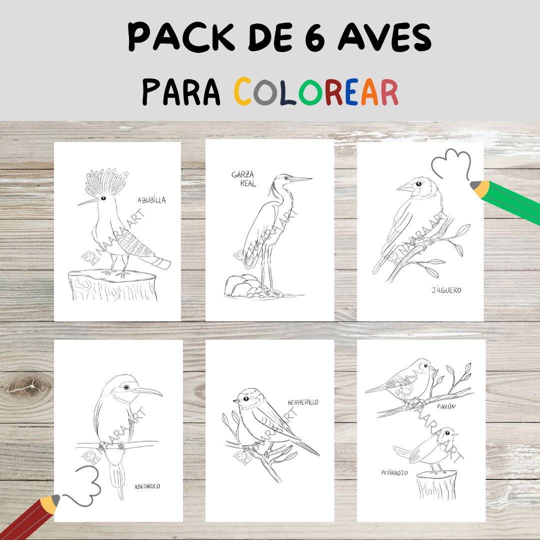 💻 Pack 6 aves para colorear