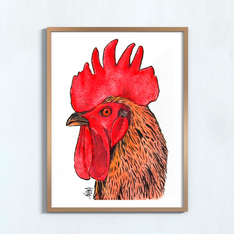 💻 Gallo acuarela (Lámina digital)